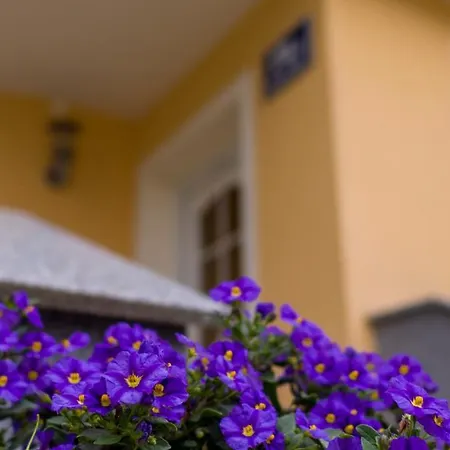 Apartament Claudia Salzburg