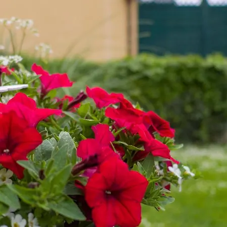 Claudia Apartamento Salzburgo